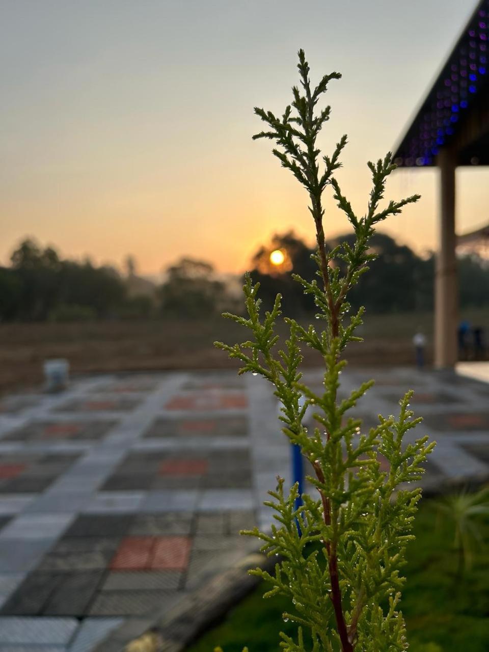 Yashovana Nature Stay Gokarna מראה חיצוני תמונה